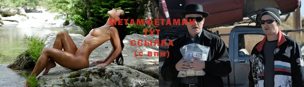 дурь Бородино