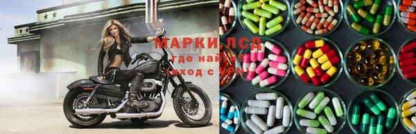 дурь Бородино
