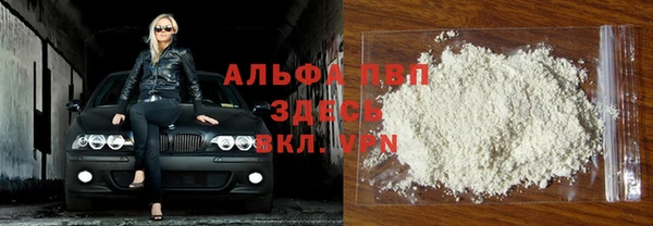 дурь Бородино