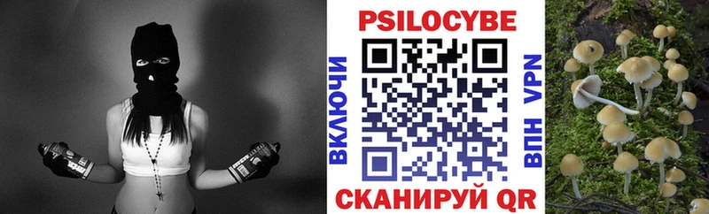 где купить   Новороссийск  Псилоцибиновые грибы мицелий 